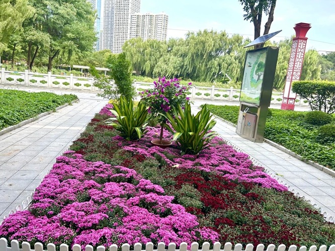 微信图片_2025-09-25_213035_761.jpg