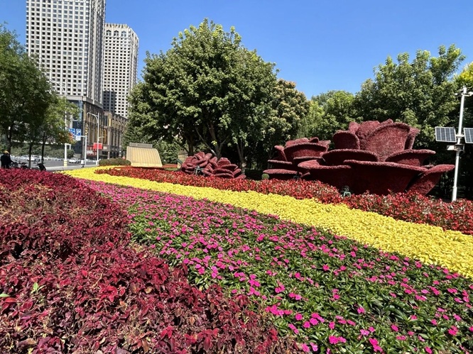 微信图片_2025-09-25_213039_278.jpg